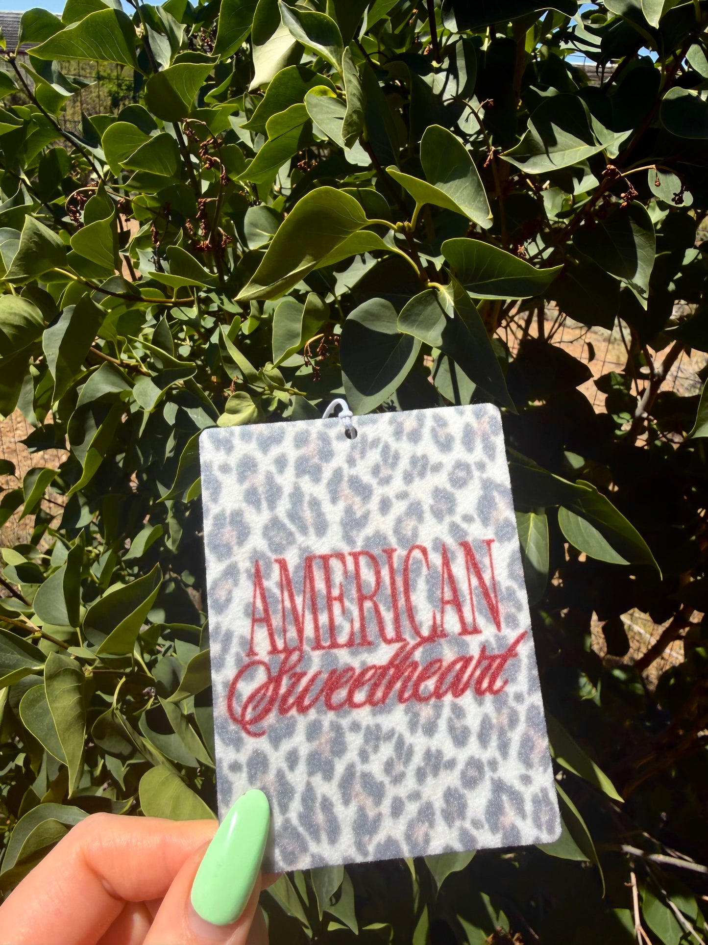 American Sweetheart Freshie