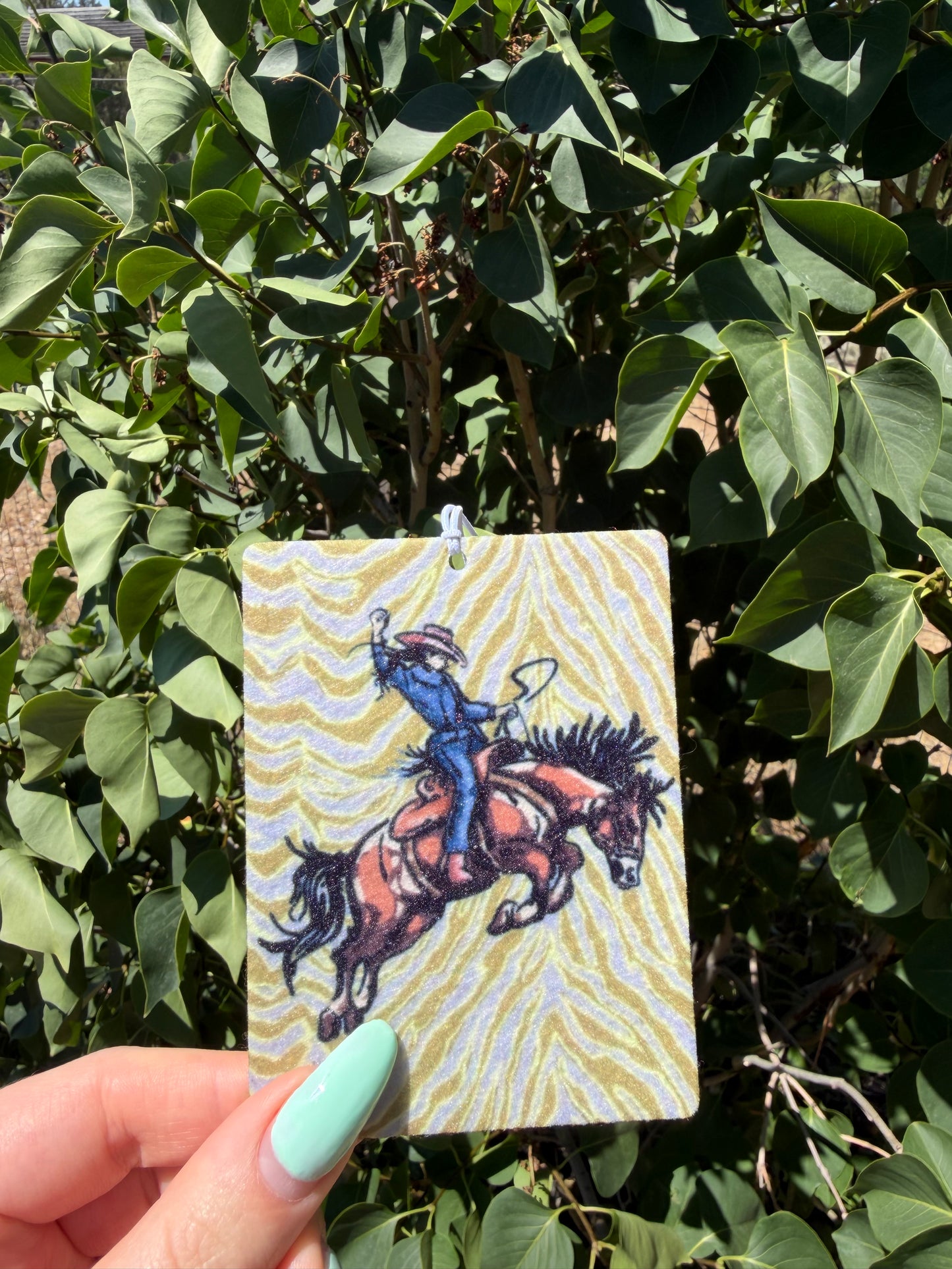 Western Darling Freshie