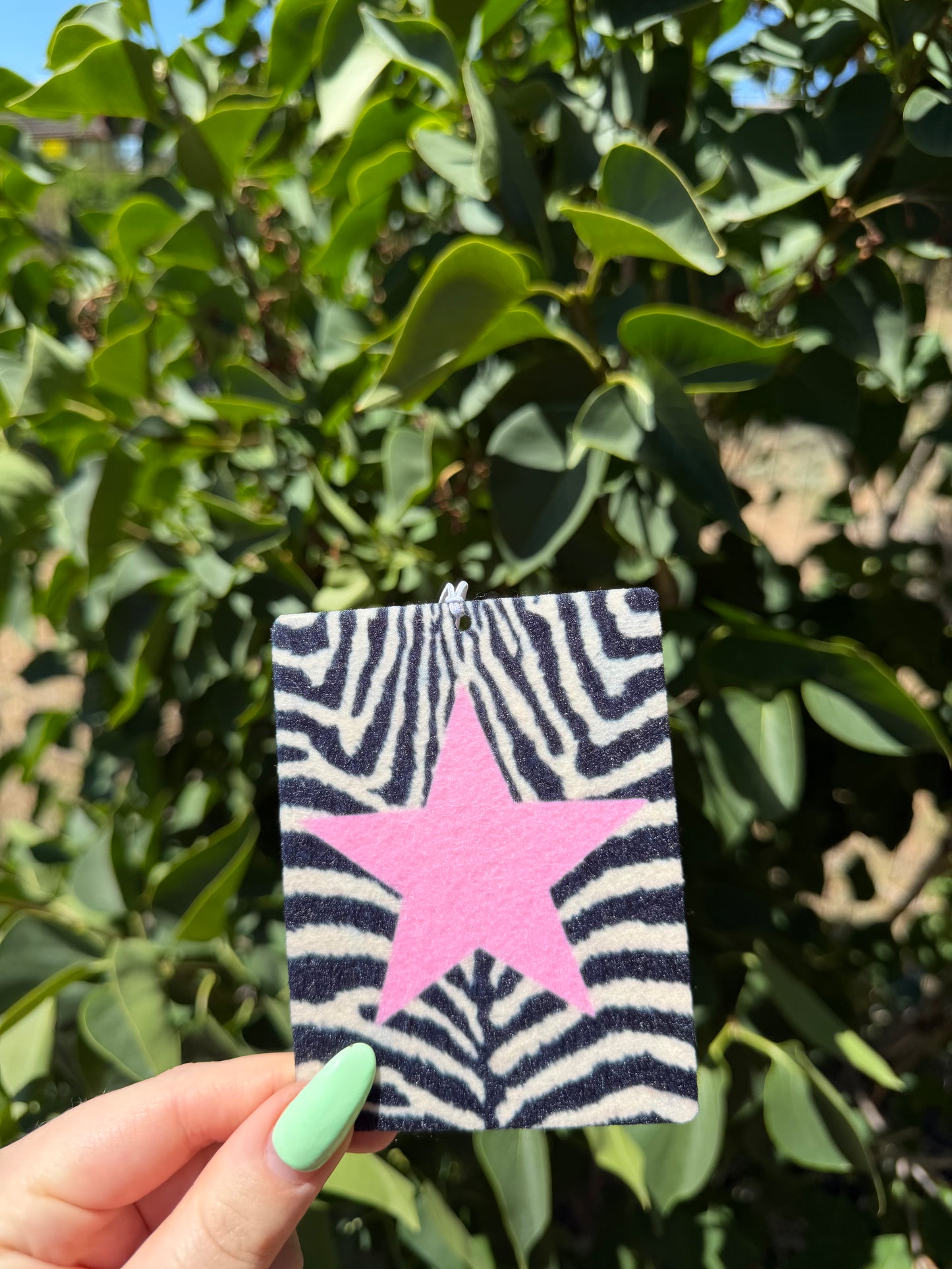 Zebra Freshie