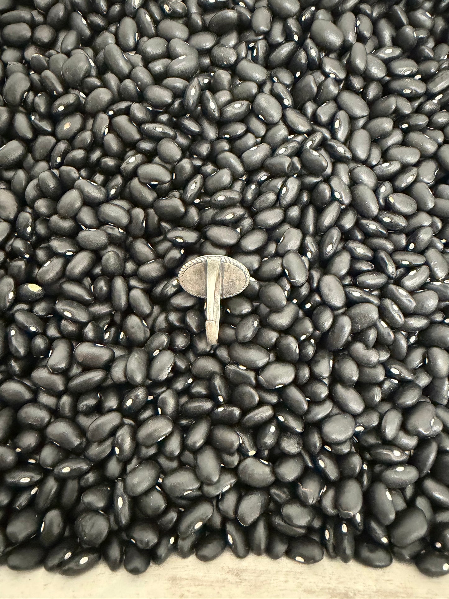 Adjustable Pink Conch Ring